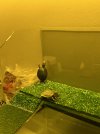 IMG_1326.jpeg