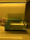 IMG_1323.jpeg