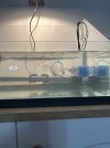 IMG_1349.jpeg