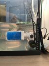 IMG_1350.jpeg