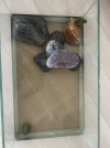 IMG_9167.jpeg