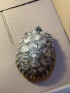 IMG_9739.jpeg