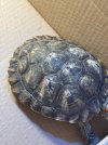 IMG_9734.jpeg
