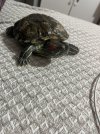 IMG_2207.jpeg
