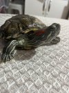 IMG_2209.jpeg