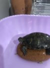 IMG_9150.jpeg