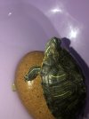 IMG_9164.jpeg