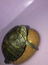 IMG_9163.jpeg