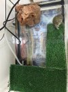 IMG_4916.jpeg