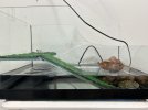 IMG_4915.jpeg