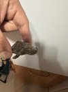 IMG_0800.jpeg