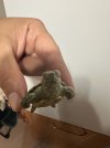 IMG_0798.jpeg