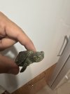 IMG_0803.jpeg