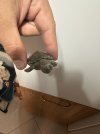 IMG_0801.jpeg