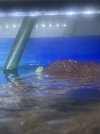 IMG_1751.jpeg