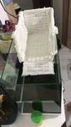 IMG-20250815-WA0066.jpg