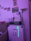 IMG-20250815-WA0101.jpg