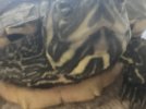 IMG_1329.jpeg