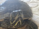 IMG_1326.jpeg