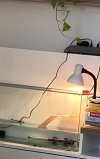 IMG_7144.jpeg