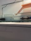 IMG_7159.jpeg