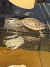 IMG_6681.jpeg