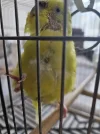 95b9e1e9-343a-4712-ad26-cb1b4b94c950.webp