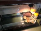 IMG-20260408-WA0018.webp
