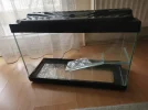 IMG-20260409-WA0020.webp