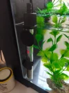 IMG-20260420-WA0001.webp