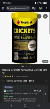 Screenshot_20260421_171652_Chrome.webp