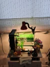 IMG-20260421-WA0002.webp
