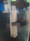20260517_142000.webp
