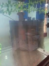 20260517_204231.webp