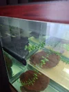 20260519_182917.webp