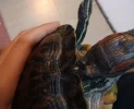 PNG görüntüsü 2.webp