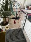 IMG_1800(1).webp