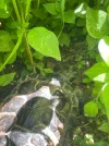 * Image 2026-08-06 at 09.55.57 (17).webp