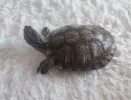 _ Image 2026-07-17 at 09.18.01 (1).webp