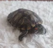 _ Image 2026-07-17 at 09.18.01.webp