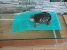 sahibinden.com_20260604_121010_.webp