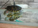 sahibinden.com_20260604_121102_.webp