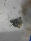 20261007_230005.webp