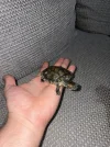 IMG_7377.webp