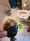 20261009_193806.webp
