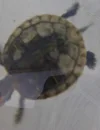 20261013_235914.webp