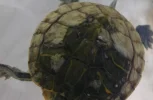 20261013_235908.webp