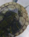 20261013_235904.webp