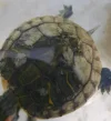 20261013_235901.webp