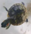 20261013_235859.webp